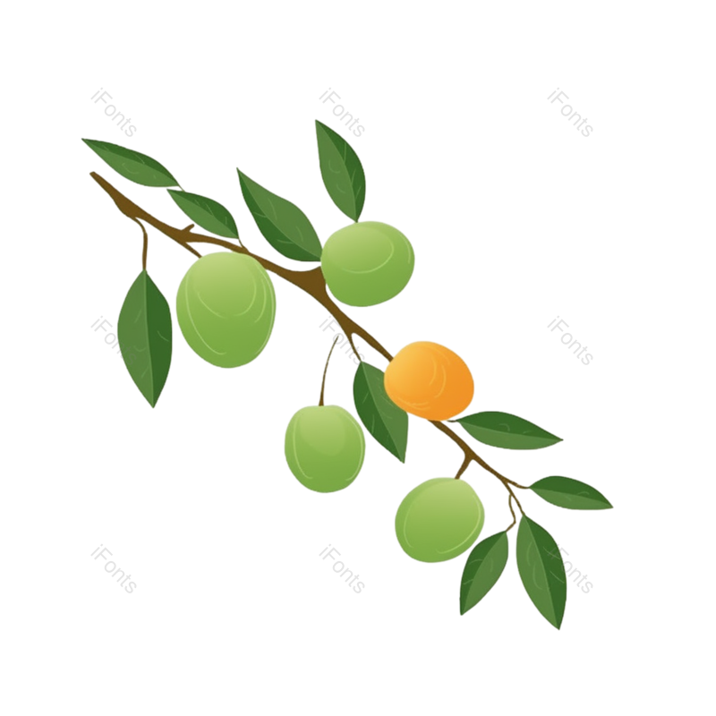 芒种图片,水果元素,绿色PNG,植物免抠素材